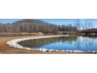 Tract 9 - REAL ESTATE AUCTION - 1,013 ACRES IN 21 TRACTS IN MARTIN COUNTY, INDIANA
