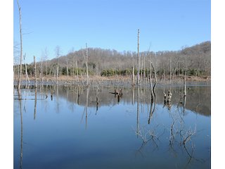 Tract 9 - REAL ESTATE AUCTION - 1,013 ACRES IN 21 TRACTS IN MARTIN COUNTY, INDIANA