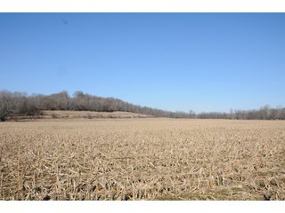 Property photo 68 - REAL ESTATE AUCTION - 1,013 ACRES IN 21 TRACTS IN MARTIN COUNTY, INDIANA