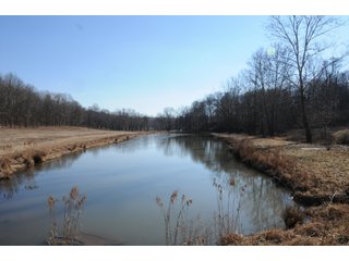 Tract 21 - Duck Pond - REAL ESTATE AUCTION - 1,013 ACRES IN 21 TRACTS IN MARTIN COUNTY, INDIANA