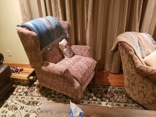 Property photo 683 - PERSONAL PROPERTY AUCTION IN MARTIN COUNTY, INDIANA