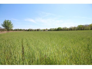 Property photo 9 - LAND AUCTION - 303+/- ACRES OFFERED IN 8 TRACTS IN POTTAWATOMIE COUNTY, OKLAHOMA