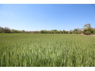 Property photo 10 - LAND AUCTION - 303+/- ACRES OFFERED IN 8 TRACTS IN POTTAWATOMIE COUNTY, OKLAHOMA