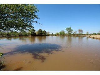 Property photo 14 - LAND AUCTION - 303+/- ACRES OFFERED IN 8 TRACTS IN POTTAWATOMIE COUNTY, OKLAHOMA
