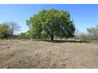 Property photo 29 - LAND AUCTION - 303+/- ACRES OFFERED IN 8 TRACTS IN POTTAWATOMIE COUNTY, OKLAHOMA