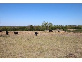 Property photo 31 - LAND AUCTION - 303+/- ACRES OFFERED IN 8 TRACTS IN POTTAWATOMIE COUNTY, OKLAHOMA