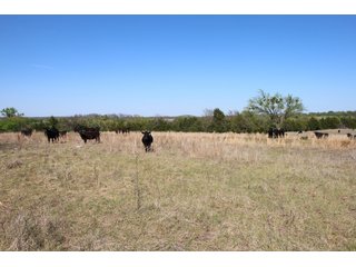 Property photo 32 - LAND AUCTION - 303+/- ACRES OFFERED IN 8 TRACTS IN POTTAWATOMIE COUNTY, OKLAHOMA