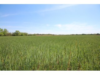 Property photo 39 - LAND AUCTION - 303+/- ACRES OFFERED IN 8 TRACTS IN POTTAWATOMIE COUNTY, OKLAHOMA