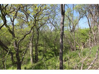 Property photo 43 - LAND AUCTION - 303+/- ACRES OFFERED IN 8 TRACTS IN POTTAWATOMIE COUNTY, OKLAHOMA