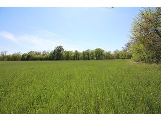 Property photo 44 - LAND AUCTION - 303+/- ACRES OFFERED IN 8 TRACTS IN POTTAWATOMIE COUNTY, OKLAHOMA