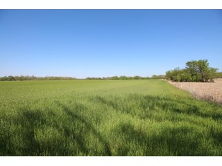 Property photo 45 - LAND AUCTION - 303+/- ACRES OFFERED IN 8 TRACTS IN POTTAWATOMIE COUNTY, OKLAHOMA