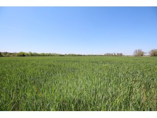 Property photo 48 - LAND AUCTION - 303+/- ACRES OFFERED IN 8 TRACTS IN POTTAWATOMIE COUNTY, OKLAHOMA