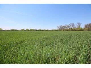 Property photo 50 - LAND AUCTION - 303+/- ACRES OFFERED IN 8 TRACTS IN POTTAWATOMIE COUNTY, OKLAHOMA