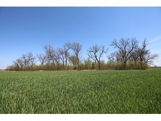 Property photo 51 - LAND AUCTION - 303+/- ACRES OFFERED IN 8 TRACTS IN POTTAWATOMIE COUNTY, OKLAHOMA
