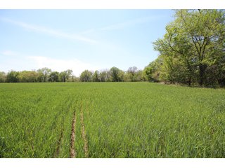 Property photo 52 - LAND AUCTION - 303+/- ACRES OFFERED IN 8 TRACTS IN POTTAWATOMIE COUNTY, OKLAHOMA