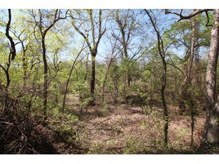 Property photo 53 - LAND AUCTION - 303+/- ACRES OFFERED IN 8 TRACTS IN POTTAWATOMIE COUNTY, OKLAHOMA