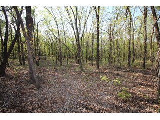 Property photo 40 - LAND AUCTION - 2,176+/- ACRES OFFERED IN 16 TRACTS IN PITTSBURG CO., OKLAHOMA