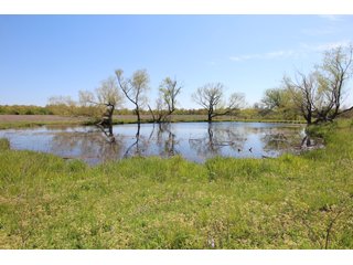 Property photo 43 - LAND AUCTION - 2,176+/- ACRES OFFERED IN 16 TRACTS IN PITTSBURG CO., OKLAHOMA