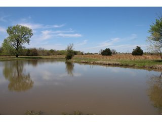 Property photo 12 - LAND AUCTION - 2,176+/- ACRES OFFERED IN 16 TRACTS IN PITTSBURG CO., OKLAHOMA