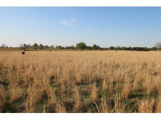 Property photo 18 - LAND AUCTION - 2,176+/- ACRES OFFERED IN 16 TRACTS IN PITTSBURG CO., OKLAHOMA
