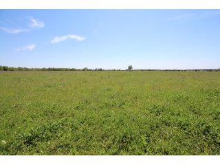 Property photo 24 - LAND AUCTION - 2,176+/- ACRES OFFERED IN 16 TRACTS IN PITTSBURG CO., OKLAHOMA