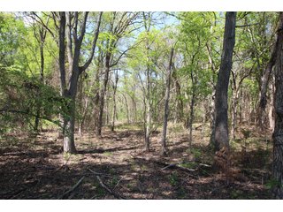 Property photo 35 - LAND AUCTION - 2,176+/- ACRES OFFERED IN 16 TRACTS IN PITTSBURG CO., OKLAHOMA