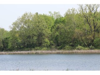 Property photo 19 - REAL ESTATE AUCTION - 27+/- ACRES OFFERED IN 4 TRACTS IN KOSCIUSKO COUNTY, INDIANA