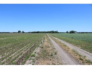 Property photo 55 - LAND AUCTION - 472+/- ACRES IN 7 TRACTS IN GRANT COUNTY, INDIANA