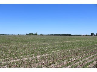 Property photo 48 - LAND AUCTION - 472+/- ACRES IN 7 TRACTS IN GRANT COUNTY, INDIANA