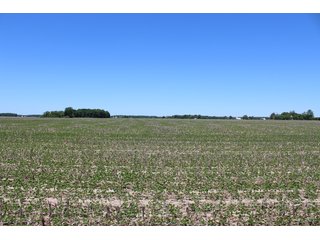 Property photo 54 - LAND AUCTION - 472+/- ACRES IN 7 TRACTS IN GRANT COUNTY, INDIANA