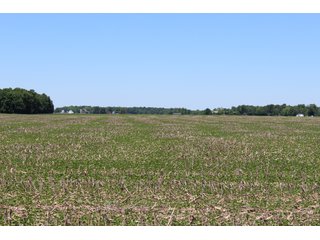 Property photo 31 - LAND AUCTION - 472+/- ACRES IN 7 TRACTS IN GRANT COUNTY, INDIANA