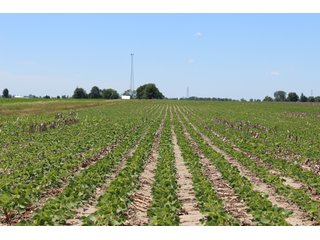 Property photo 41 - LAND AUCTION - 472+/- ACRES IN 7 TRACTS IN GRANT COUNTY, INDIANA
