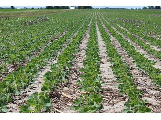 Property photo 36 - LAND AUCTION - 472+/- ACRES IN 7 TRACTS IN GRANT COUNTY, INDIANA