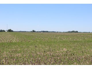 Property photo 39 - LAND AUCTION - 472+/- ACRES IN 7 TRACTS IN GRANT COUNTY, INDIANA