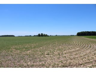 Property photo 45 - LAND AUCTION - 472+/- ACRES IN 7 TRACTS IN GRANT COUNTY, INDIANA