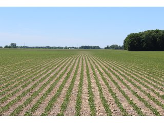 Property photo 51 - LAND AUCTION - 472+/- ACRES IN 7 TRACTS IN GRANT COUNTY, INDIANA