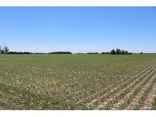 Property photo 30 - LAND AUCTION - 472+/- ACRES IN 7 TRACTS IN GRANT COUNTY, INDIANA