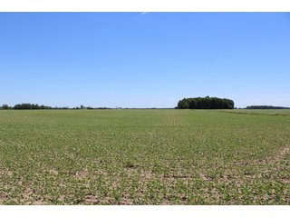 TRACT 3 - LAND AUCTION - 472+/- ACRES IN 7 TRACTS IN GRANT COUNTY, INDIANA
