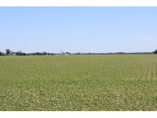 Property photo 46 - LAND AUCTION - 472+/- ACRES IN 7 TRACTS IN GRANT COUNTY, INDIANA