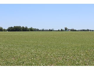 Property photo 44 - LAND AUCTION - 472+/- ACRES IN 7 TRACTS IN GRANT COUNTY, INDIANA