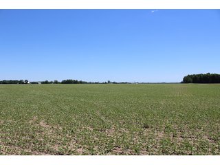 TRACT 2 - LAND AUCTION - 472+/- ACRES IN 7 TRACTS IN GRANT COUNTY, INDIANA