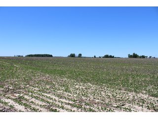 Property photo 32 - LAND AUCTION - 472+/- ACRES IN 7 TRACTS IN GRANT COUNTY, INDIANA