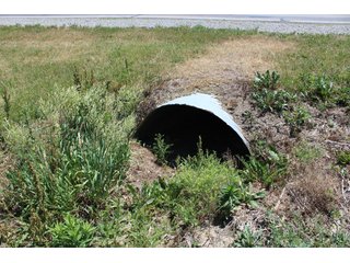 Property photo 61 - LAND AUCTION - 472+/- ACRES IN 7 TRACTS IN GRANT COUNTY, INDIANA
