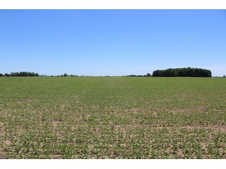 Property photo 29 - LAND AUCTION - 472+/- ACRES IN 7 TRACTS IN GRANT COUNTY, INDIANA