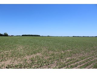 Property photo 50 - LAND AUCTION - 472+/- ACRES IN 7 TRACTS IN GRANT COUNTY, INDIANA