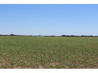 TRACT 1 - LAND AUCTION - 472+/- ACRES IN 7 TRACTS IN GRANT COUNTY, INDIANA