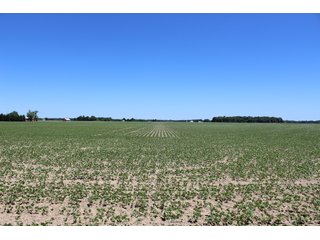 Property photo 42 - LAND AUCTION - 472+/- ACRES IN 7 TRACTS IN GRANT COUNTY, INDIANA