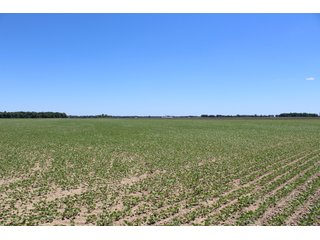 Property photo 40 - LAND AUCTION - 472+/- ACRES IN 7 TRACTS IN GRANT COUNTY, INDIANA