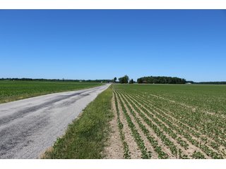 Property photo 34 - LAND AUCTION - 472+/- ACRES IN 7 TRACTS IN GRANT COUNTY, INDIANA