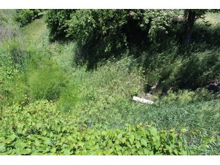 Property photo 47 - LAND AUCTION - 472+/- ACRES IN 7 TRACTS IN GRANT COUNTY, INDIANA